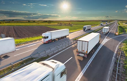 Sale Transport Slavisa Savuljeskovic KG Sale Transport Slavisa Savuljeskovic KG